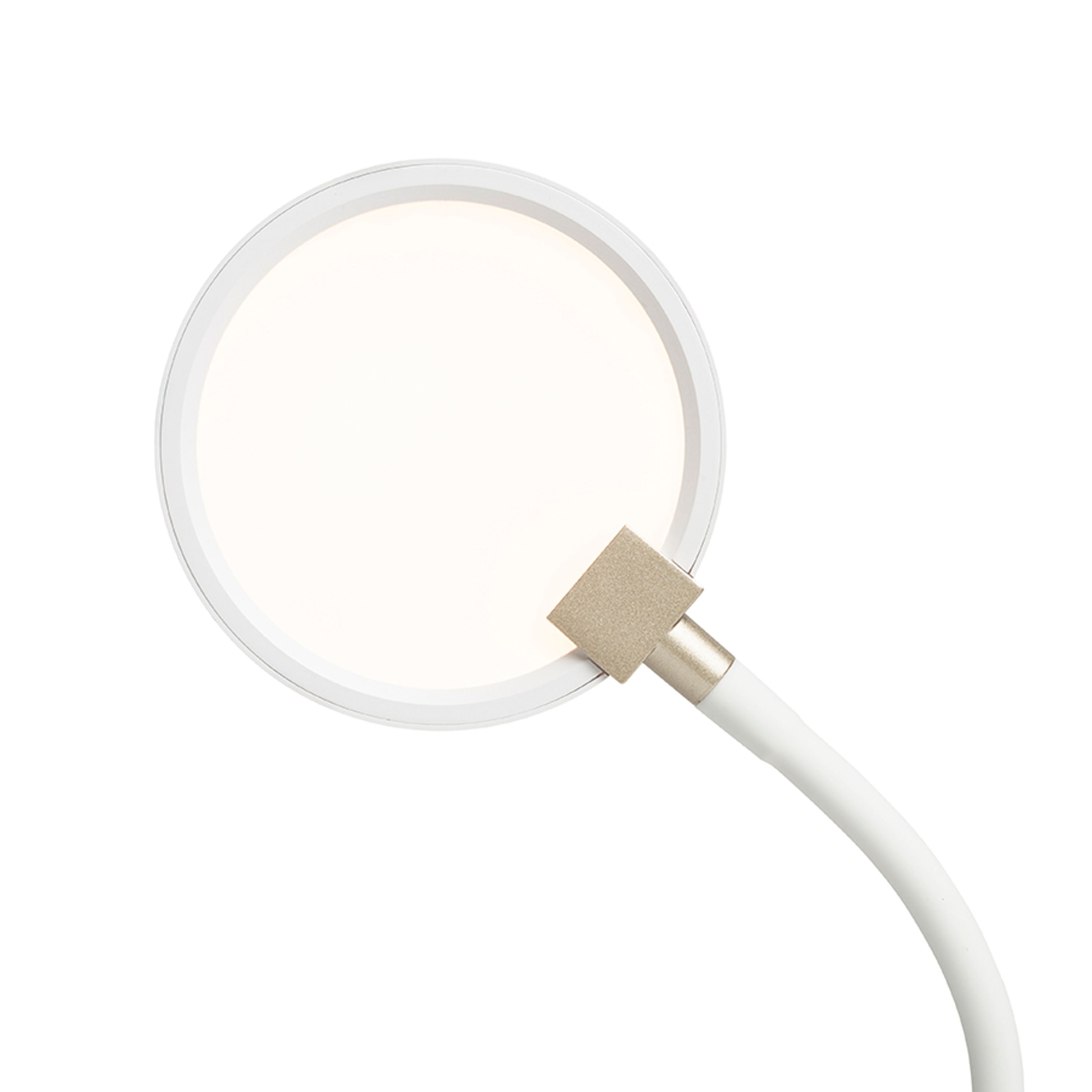 Aplica LED cu gât flexibil si reflector circular echipat cu difuzor laptos pentru iluminare slabă, CELESTE de perete alb 230V 4.8W 3000K