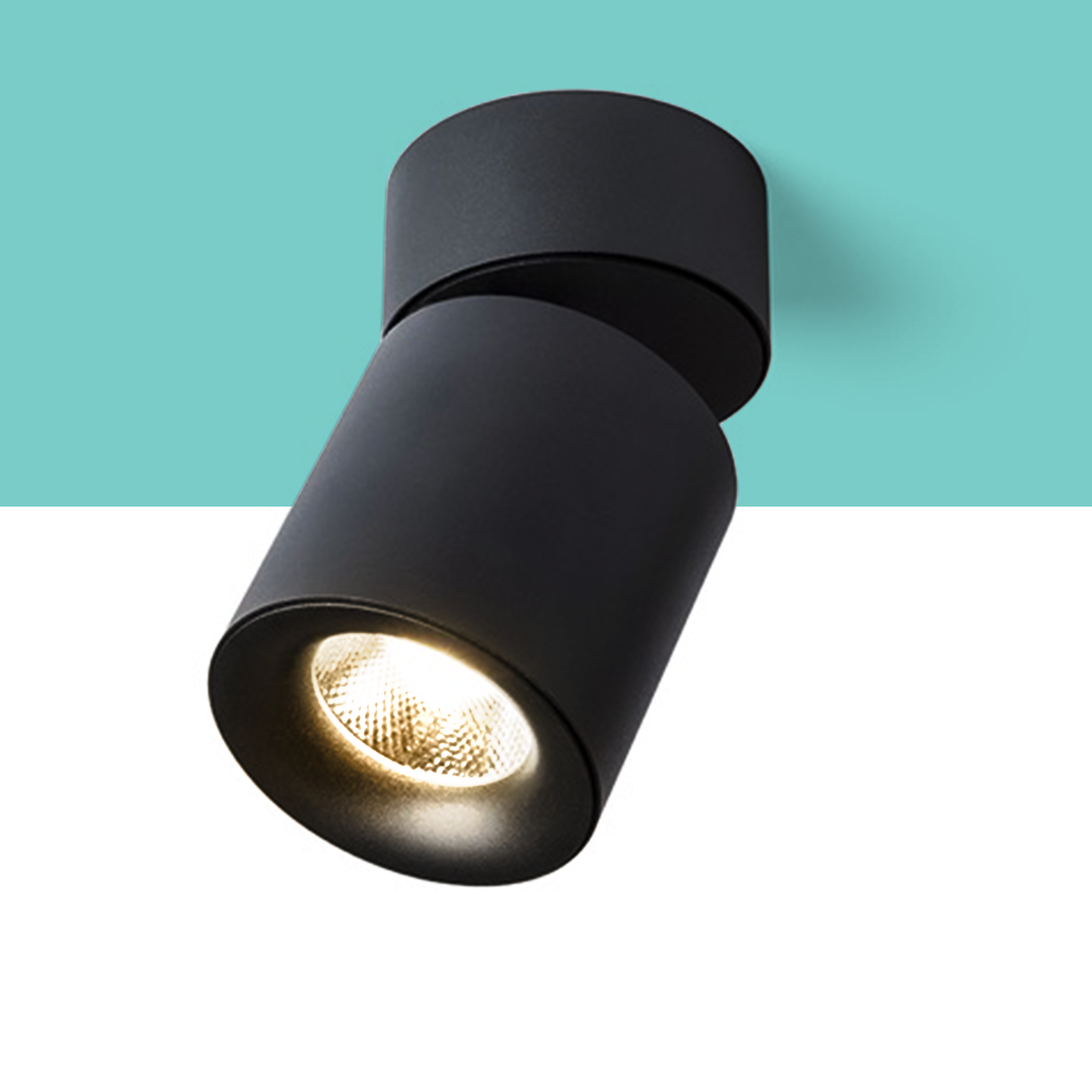 Cilindru masiv de tavan cu posibilitate de înclinare cu LED lumina puternică, CONDU de alb 230V 20W 24° 3000K