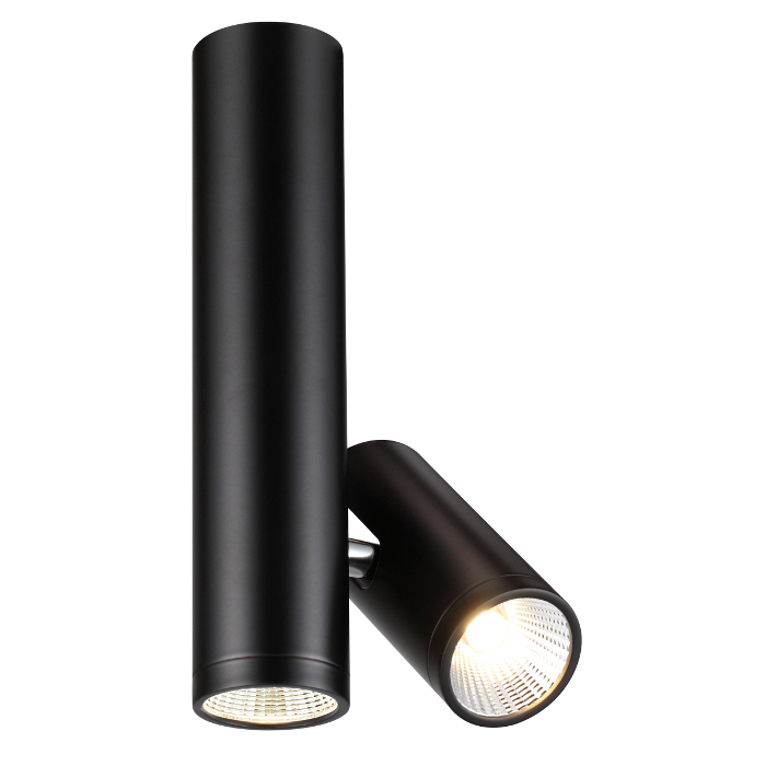 Lampă de tavan cu un reflector LED fix și unul reglabil, BOGARD TWIN negru mat 230V 2x5W 40° 3000K
