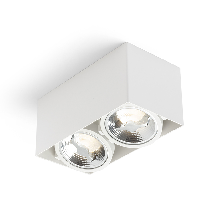 Plafoniera lăcuită cu LED încorporat care poate fi înclinată pe două axe, JAMES II DIMM de tavan alb mat 230V 2x15W 24° 3000K