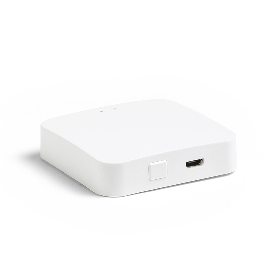 Punte TUYA pentru controlul sistemelor VEGA 24V sau WAVE 24V, VEGA TUYA poarta alb