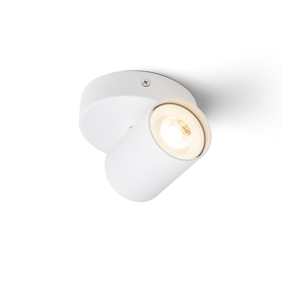 Spot montat la suprafață pe baza rotunda cu soclu GU10 pentru surse de lumina LED, DUDE R pe alb 230V 9W