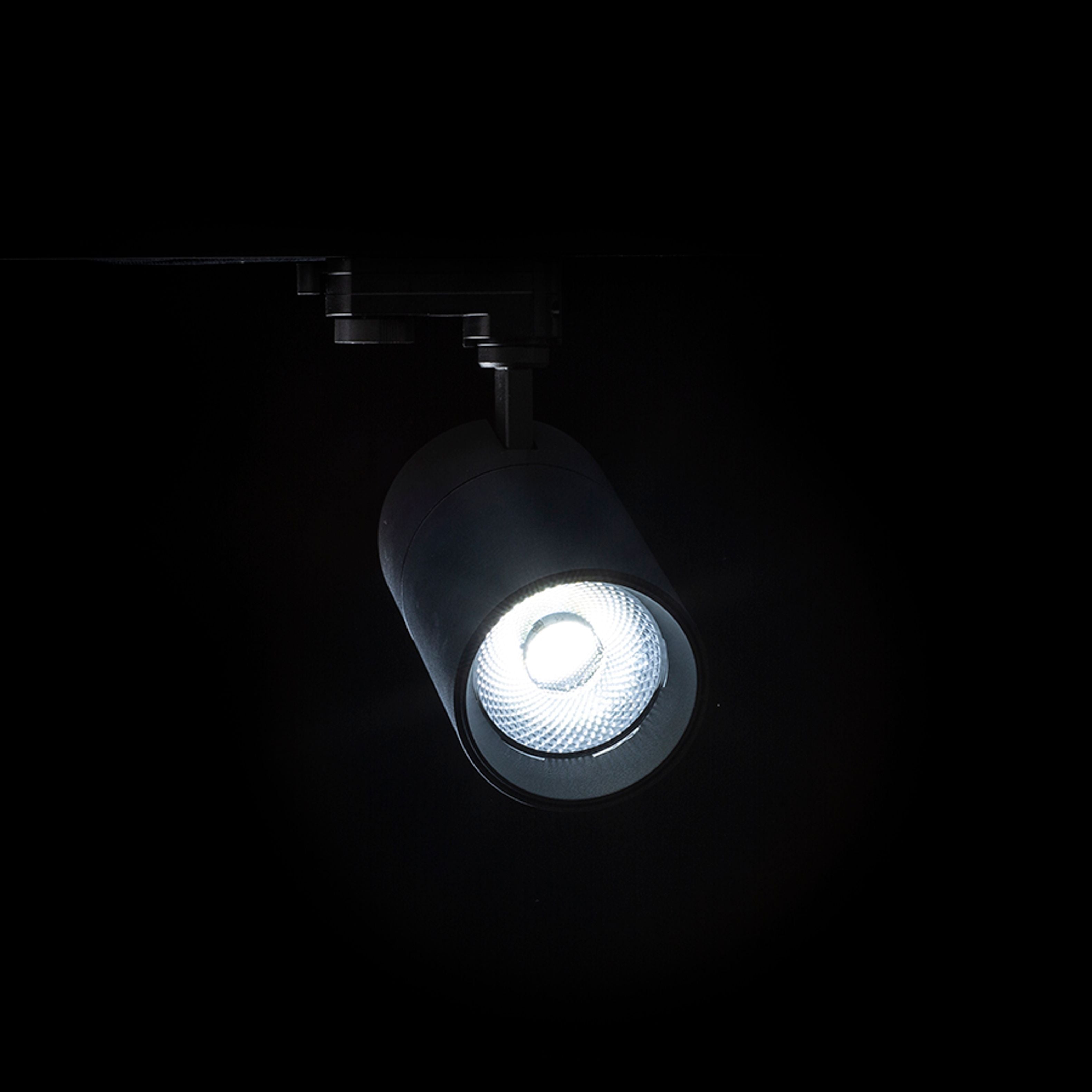 Spot cilindric reglabil pentru pista cu 3-circuite cu posibilitatea de a comuta culoarea luminii, WISH 30 DIMM șină trifazat negru 230V LED 30W 36° 3000K 4000K 5000K