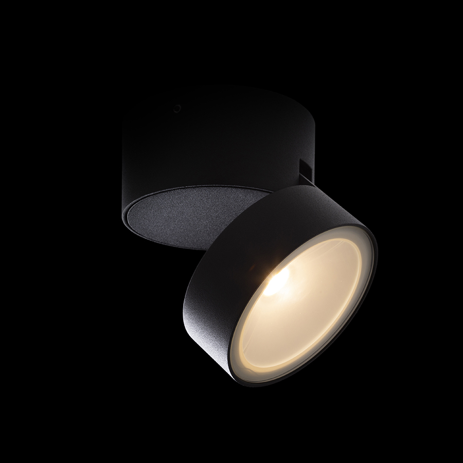 Spot LED pentru exterior, montat pe suprafața, cu funcție de inclinare, care poate fi montat pe, FLAVIO R pe suprafață gri deschis 230V 6W 110° IP54 3000K