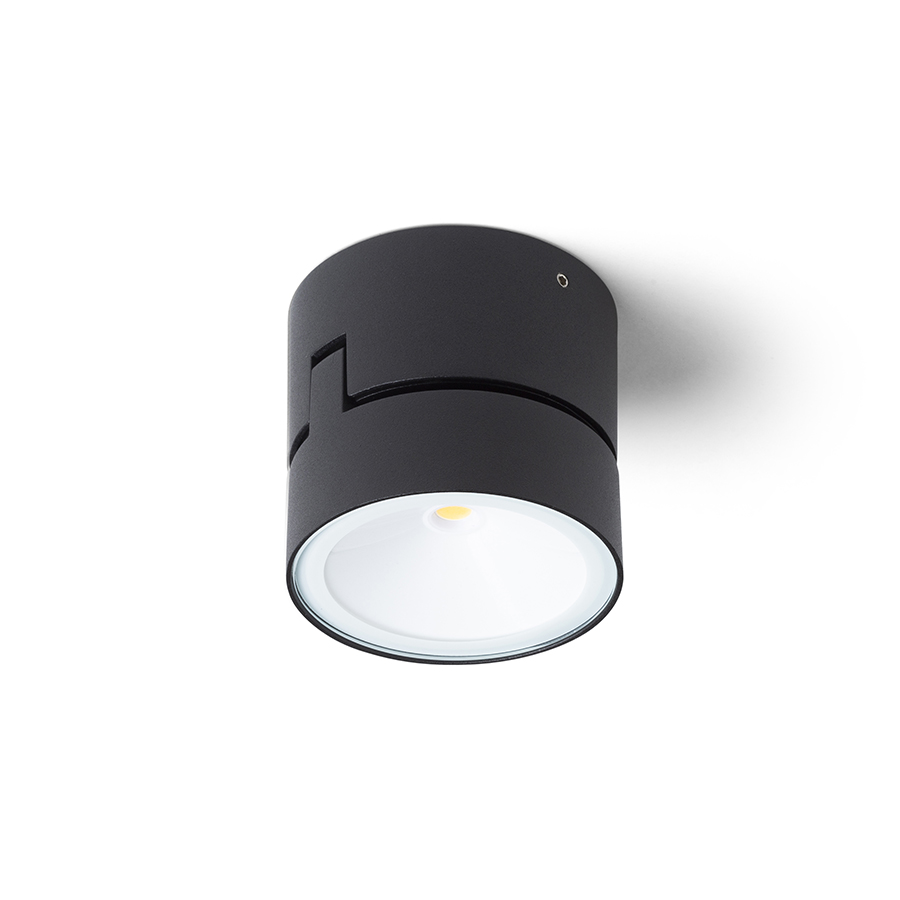 Spot LED pentru exterior, montat pe suprafața, cu funcție de inclinare, care poate fi montat pe, FLAVIO R pe suprafață gri deschis 230V 6W 110° IP54 3000K